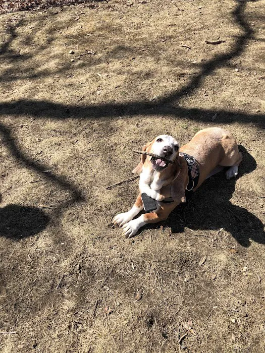 Isaac Dog Park 9