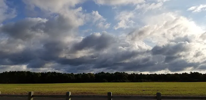 Isaac Dog Park 3