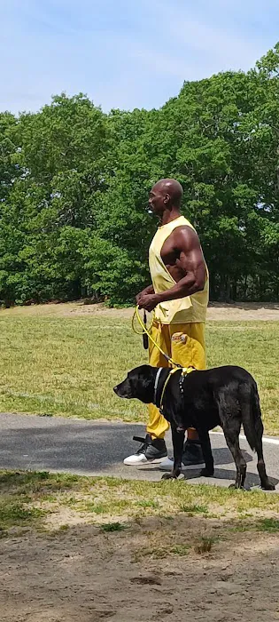 Duke Dog Park 3