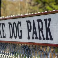 Duke Dog Park ico