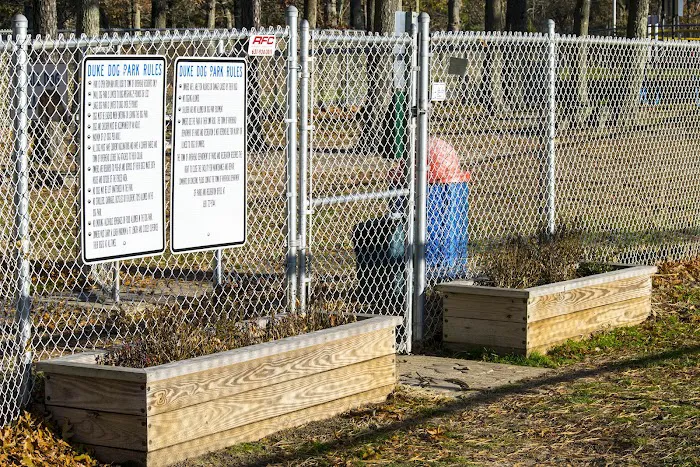 Duke Dog Park 4