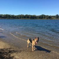 Falls Township Dog Park ico