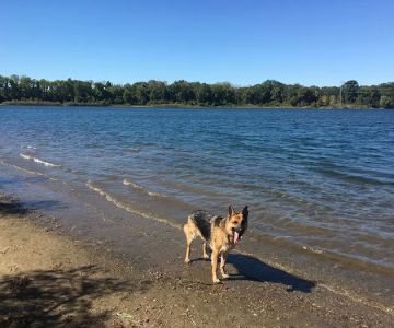 Falls Township Dog Park
