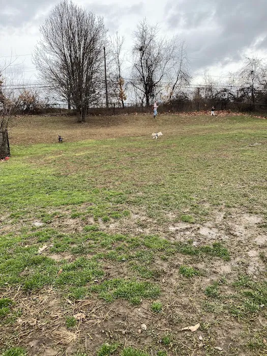 Falls Township Dog Park 5