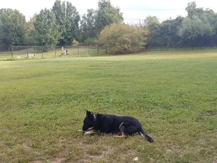 Falls Township Dog Park 4