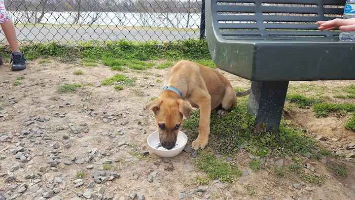 Falls Township Dog Park 9