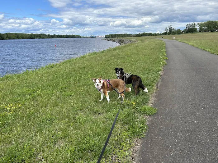 Florence Township Dog Park 5