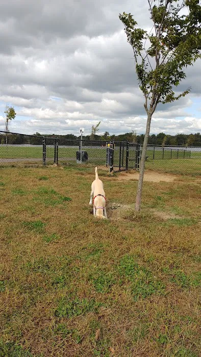 Florence Township Dog Park 3