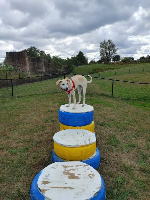 Florence Township Dog Park 4
