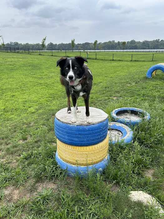 Florence Township Dog Park 10