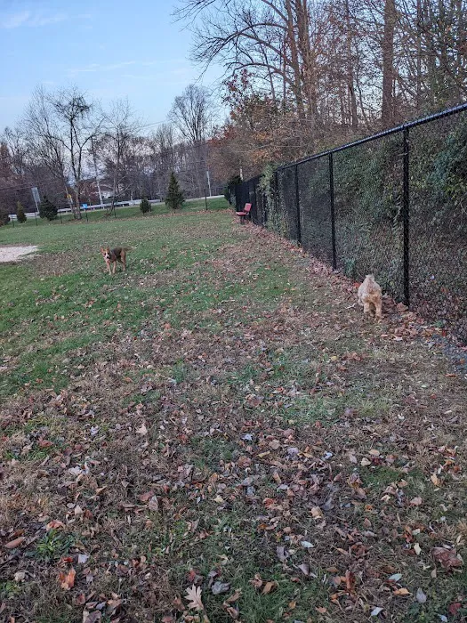 Lower Makefield Township Dog Park (Members Only) 4