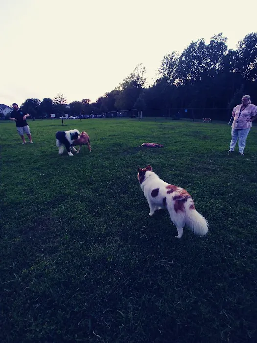 Lower Makefield Township Dog Park (Members Only) 6