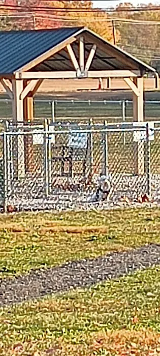 Mansfield Bark Park 1