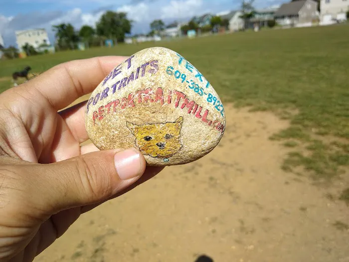 Barnegat Light Dog Park 9