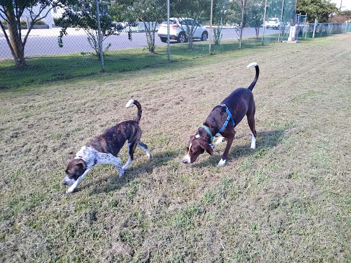 Barnegat Light Dog Park 1