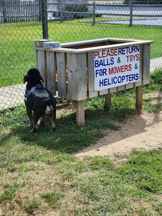 Barnegat Light Dog Park 4