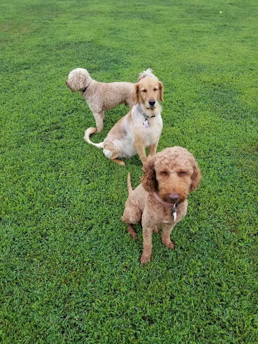 Barnegat Light Dog Park 8