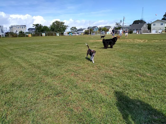 Barnegat Light Dog Park 7