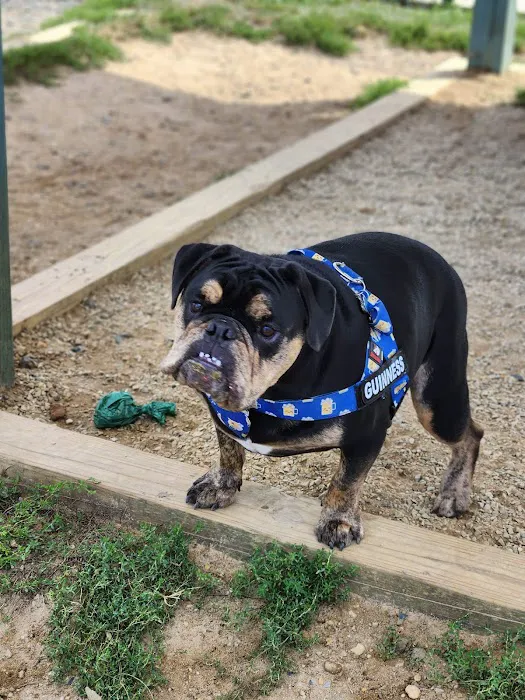 Barnegat Light Dog Park 3