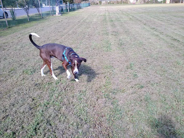 Barnegat Light Dog Park 2