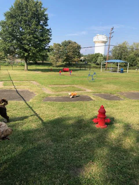 Burlington Dog Park 1