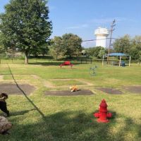 Burlington Dog Park ico