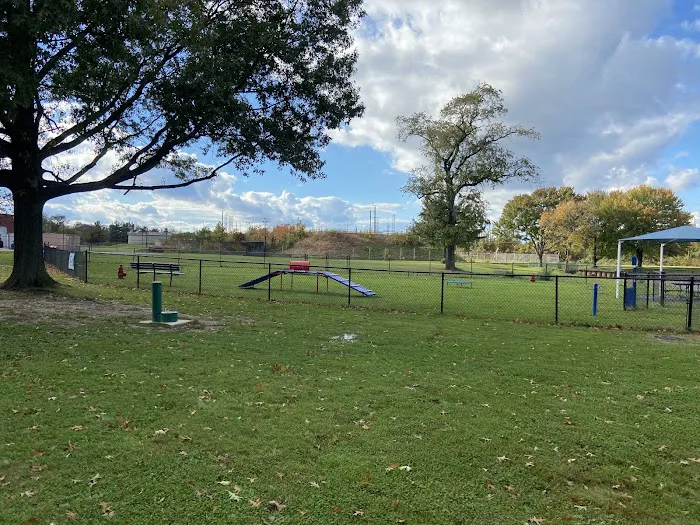 Burlington Dog Park 8