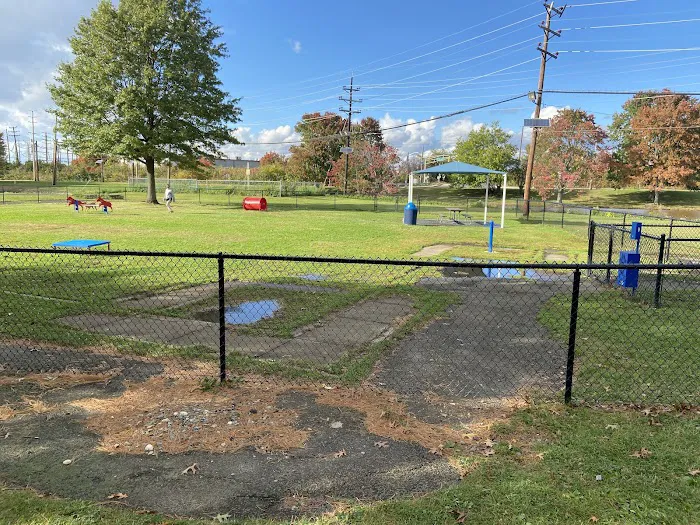 Burlington Dog Park 3