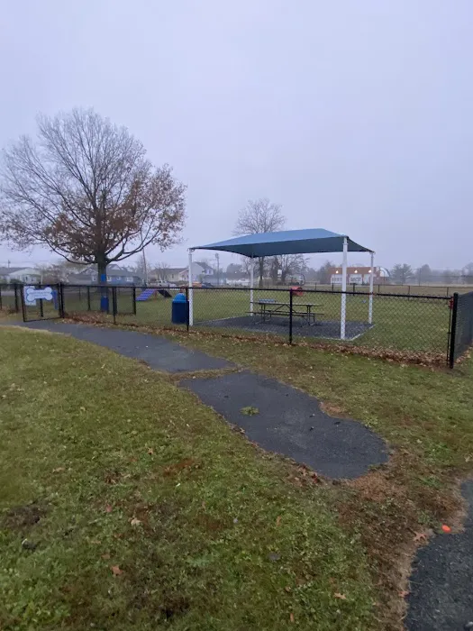 Burlington Dog Park 2
