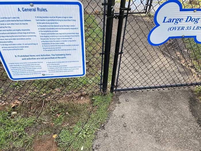 Burlington Dog Park 5