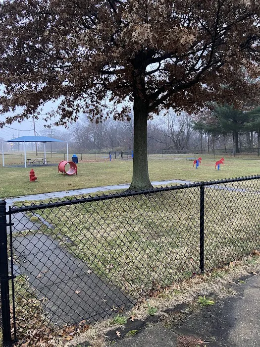 Burlington Dog Park 4