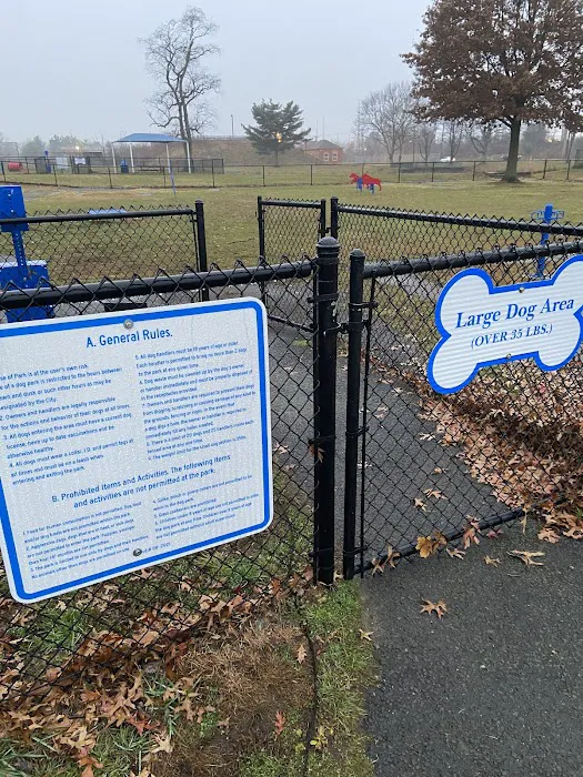 Burlington Dog Park 6