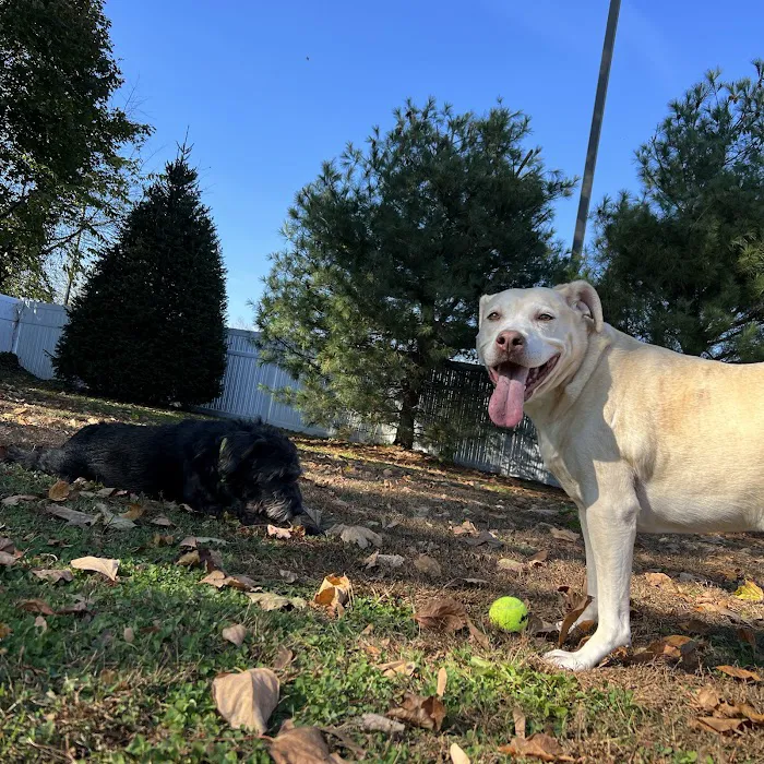 Dog Park of Laurel Green Apartments 7