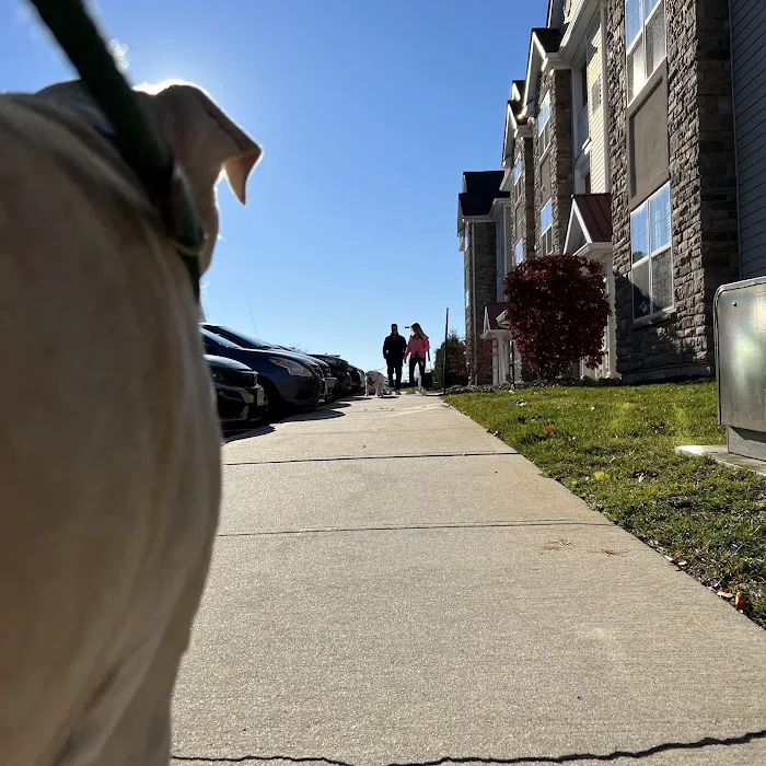 Dog Park of Laurel Green Apartments 2