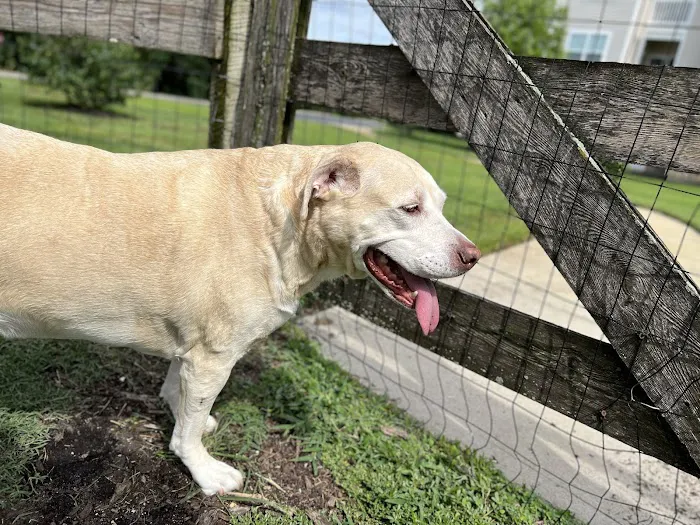 Dog Park of Laurel Green Apartments 5