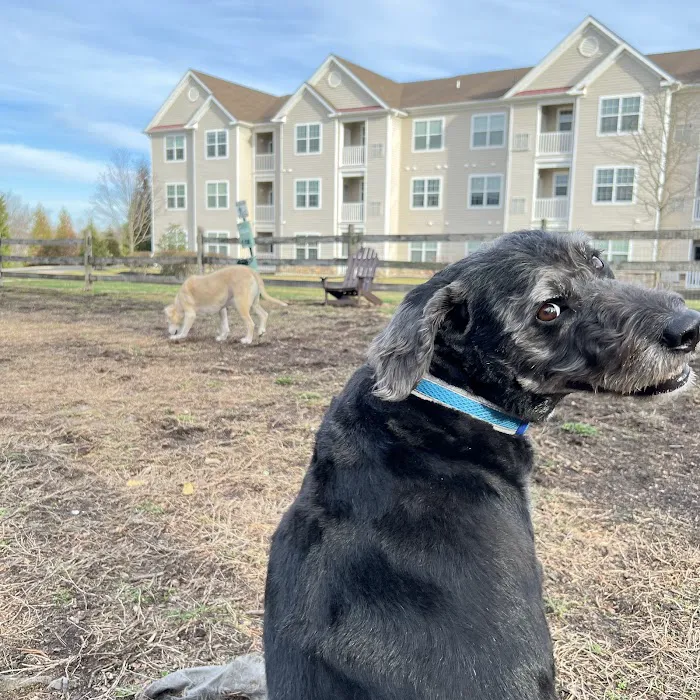 Dog Park of Laurel Green Apartments 6