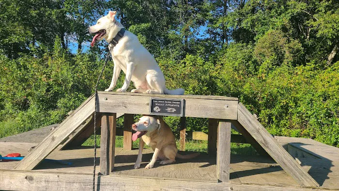 Freedom Barks 2