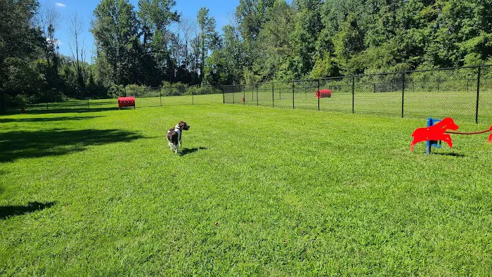 Freedom Barks 8