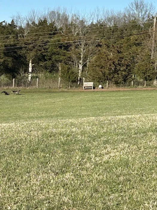 Kingwood Dog Park 10