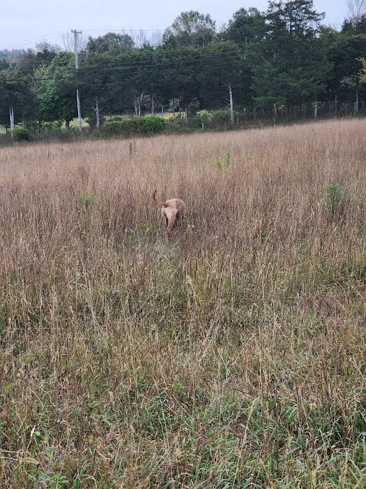 Kingwood Dog Park 6