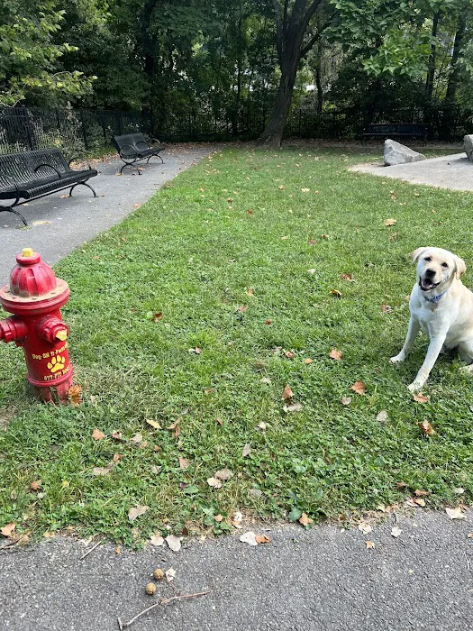 Easton Dog Park 1