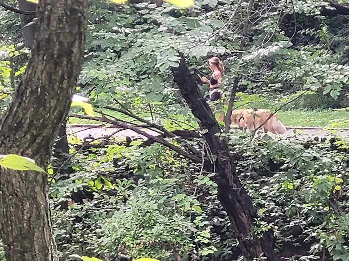 Easton Dog Park 6
