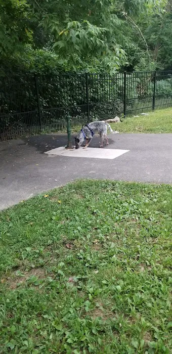 Easton Dog Park 5