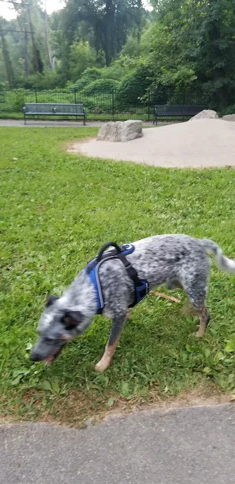 Easton Dog Park 7