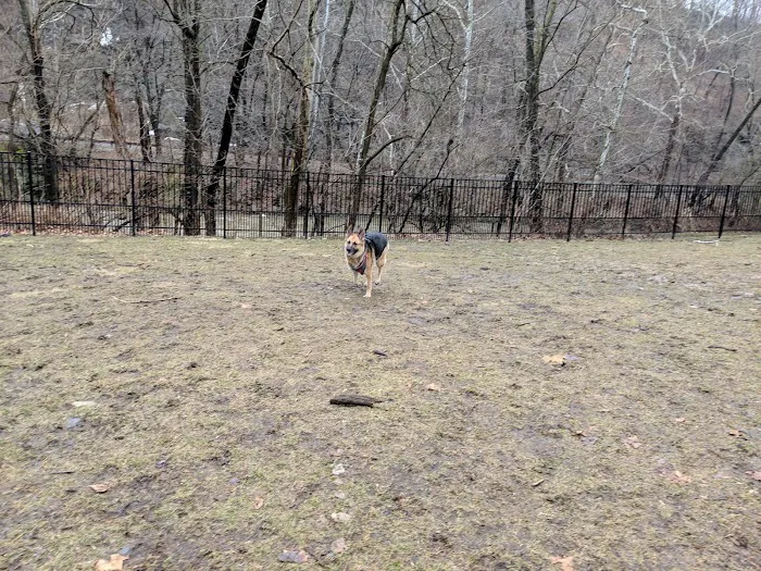 Easton Dog Park 10