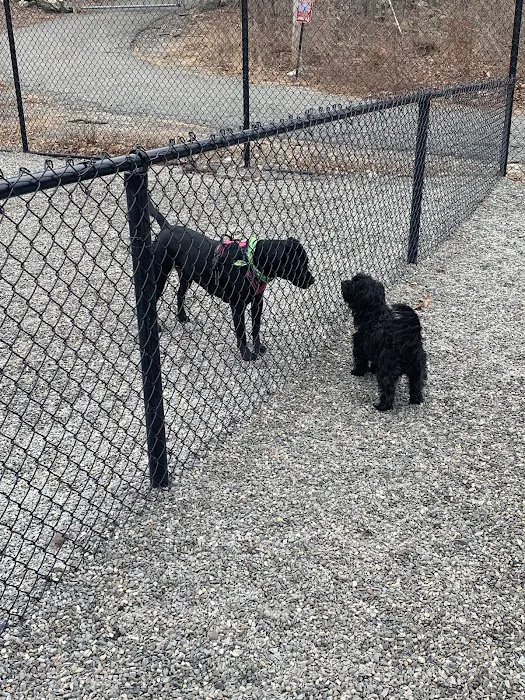 Wanaque Dog Park 7