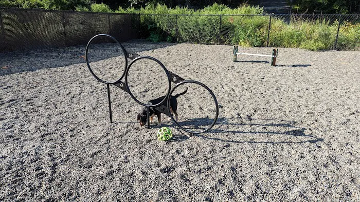 Wanaque Dog Park 4
