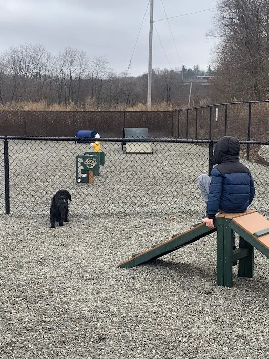Wanaque Dog Park 9