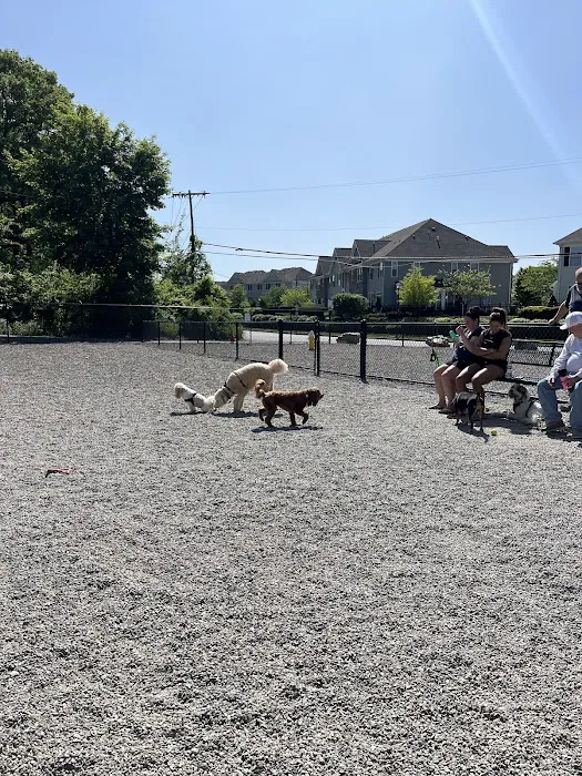 Wanaque Dog Park 1