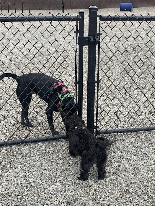 Wanaque Dog Park 6